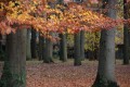 Virginie_R